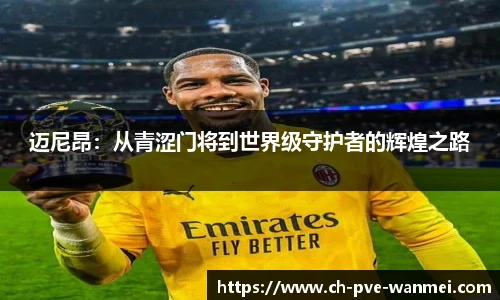 完美对战平台